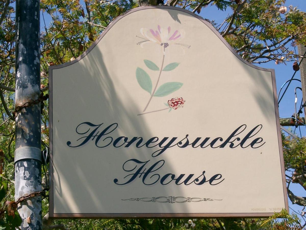Hostel Honeysuckle House Nelson Exteriér fotografie